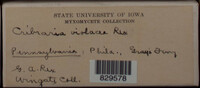 Image Associated With the Occurence
